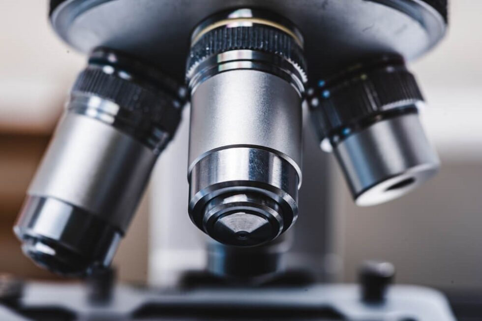 Shiitake Mushroom Dermatitis Xanthelasma Treatment